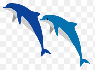 Dolphins Jumping Clipart Png
