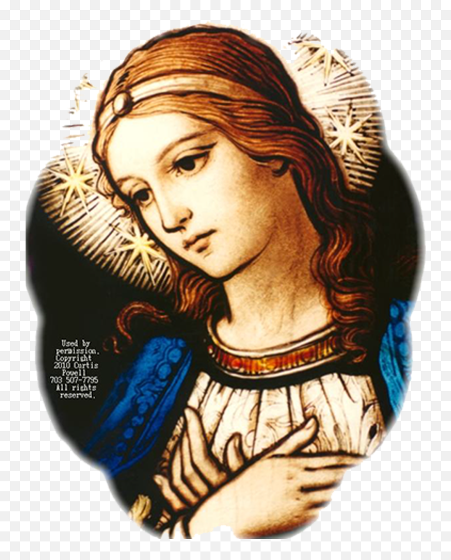 Blessed Virgin Maryu0027s Nativity De La Salle University Png