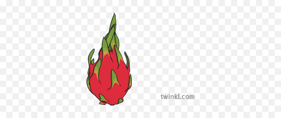 Dragon Fruit Pitaya Cactus Healthy Eating Food Ks1 - Illustration Png,Dragon Fruit Png