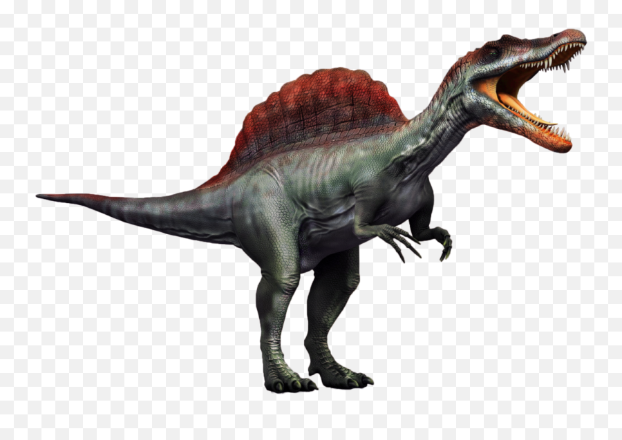 Spinosaurus Png Transparent Picture - Dinosaur With Transparent Background,Spinosaurus Png