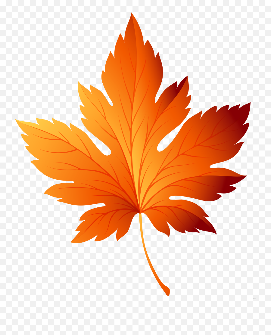 Leaf Clipart Clear Background - Autumn Leaves Vector Png,Leaf Transparent Background