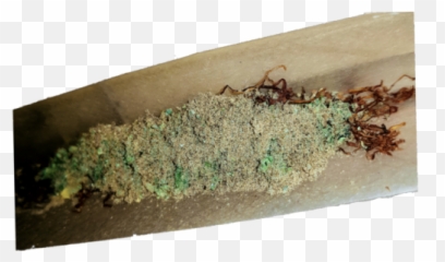 Download Transparent Pre - Soil Png,Blunt Png