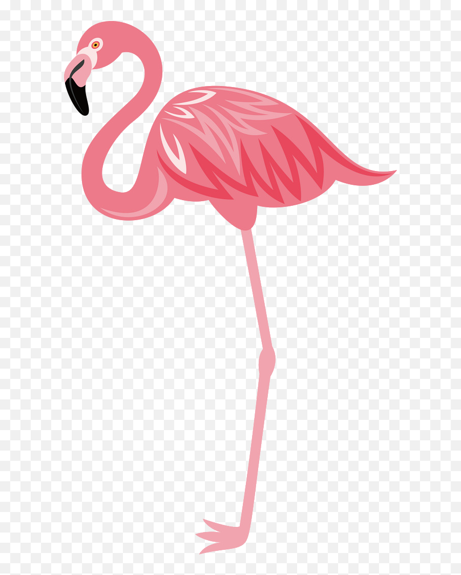 Oliveira Fashionando Flamingo Png - Flamingo Clipart Png,Flamingo Png