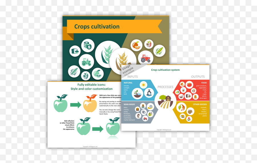 Food And Agriculture Graphics For Illustrating Goods - Graphic Presentation About Agricultural Research Png,Presenting Icon