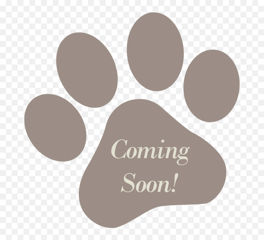 Cat Treats U2014 The Paw Firm Png Photo Coming Soon Icon