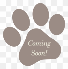 Cat Treats U2014 The Paw Firm Png