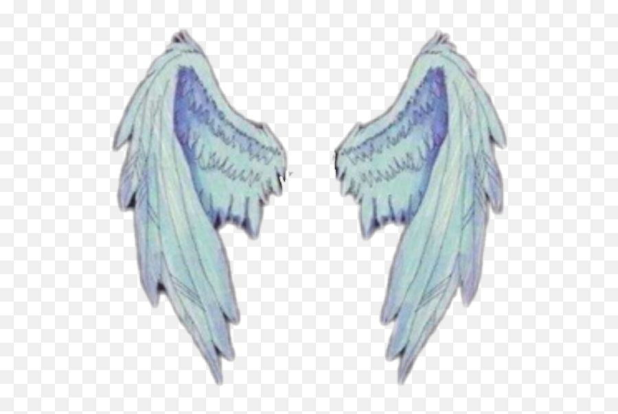 Wings - Wings Png,Angle Wings Png