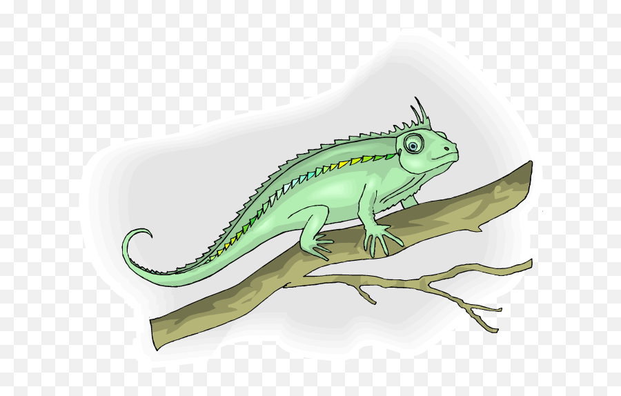 Free Lizard Clipart Png Iguana Icon