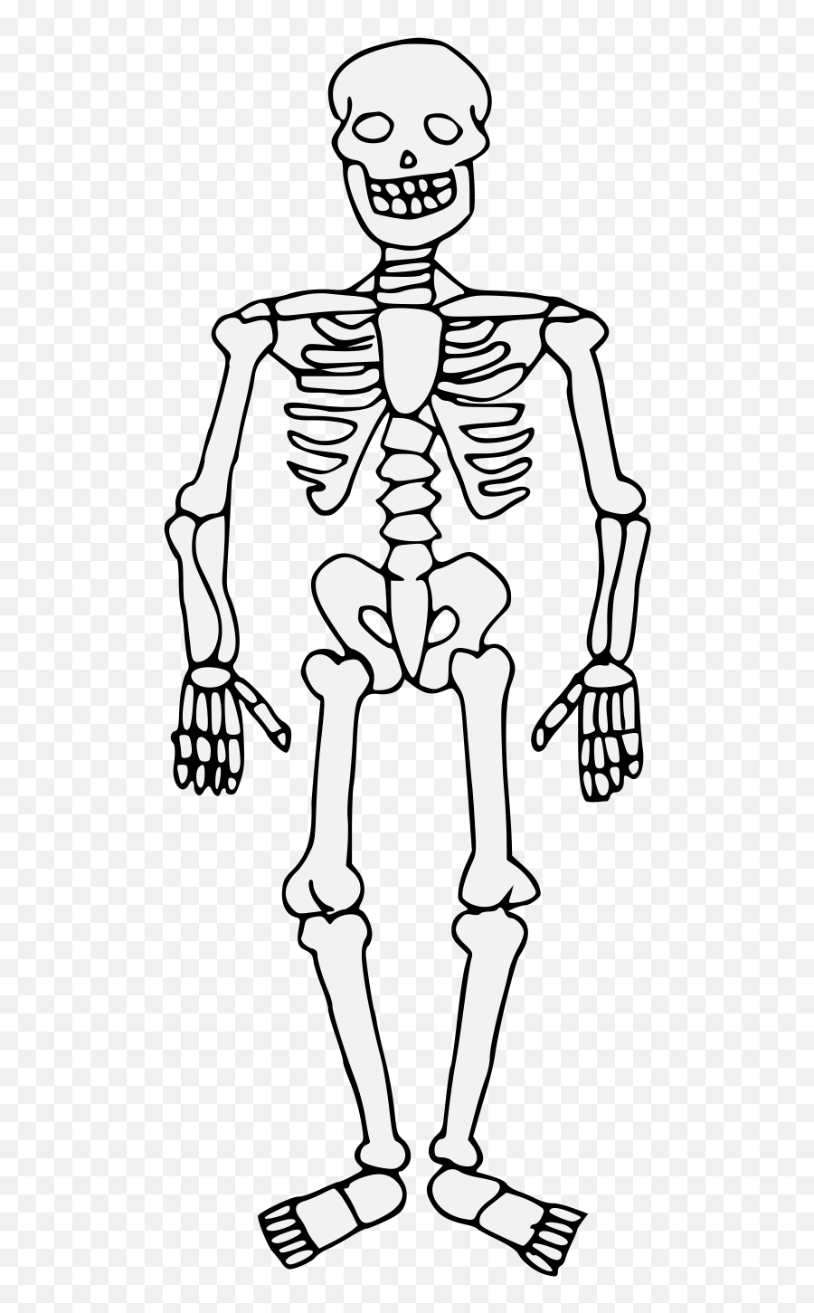 Skeleton - Traceable Heraldic Art Draw A Human Skeleton Png,Skeleton Png