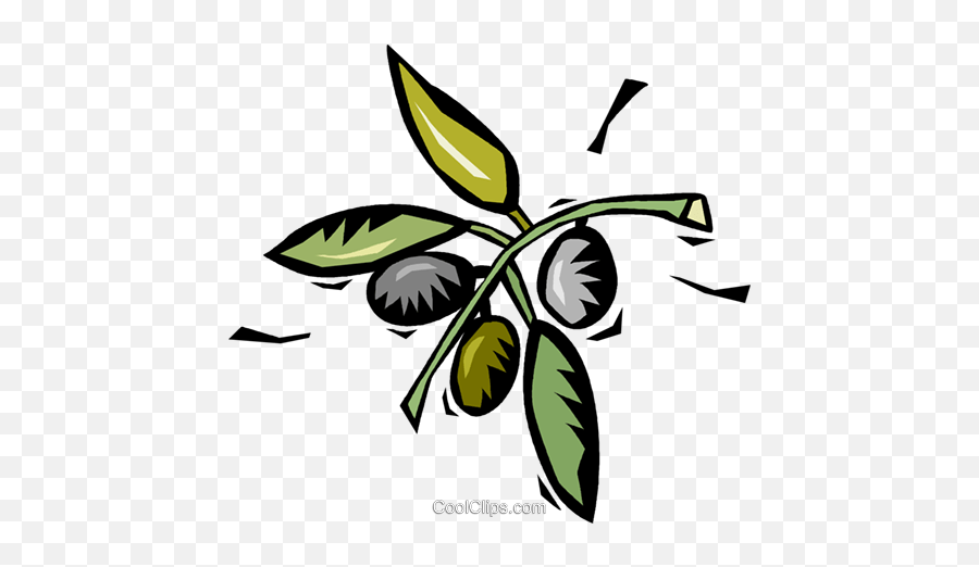 Coffee Beans Growing - Coffee Plant Png,Coffee Bean Vector Png