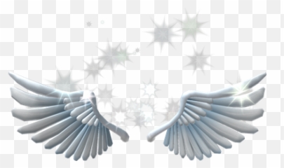 Free Transparent Wing Png Images Page 4 Pngaaa Com - how to get free wings in roblox
