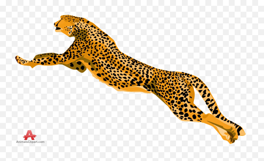 Cheetah Png Download Image Arts - Yayoi Kusama,Cheetah Png
