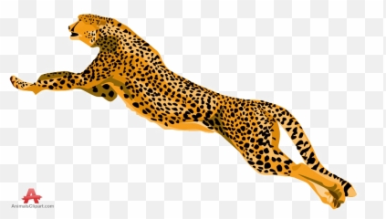 Cheetah Png Download Image Arts - Yayoi Kusama,Cheetah Png