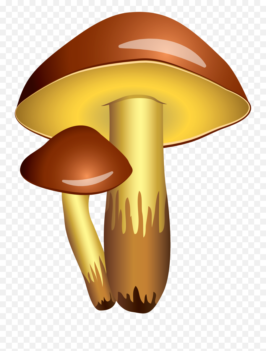 Clipart Of Mario And Fungi - Fungi Clipart Png,Fungi Png