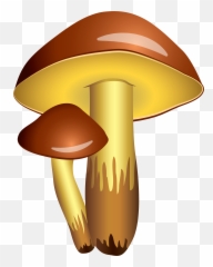 Clipart Of Mario And Fungi - Fungi Clipart Png,Fungi Png