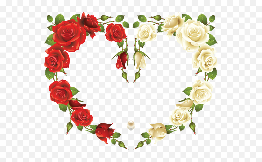 Large Transparent Heart Frame With Red And White Roses - Dua For Success In Everything Png,Flower Shape Png