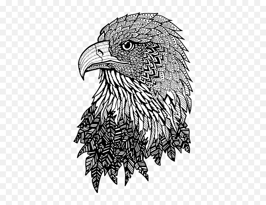 Bald Eagle Zentangle Duvet Cover - Zentangle Eagle Png,Bald Eagle Transparent Background
