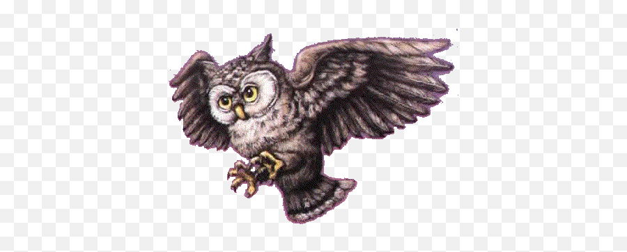 Download Harry Potter Png Image Clipart Free - Great Grey Owl,Harry Potter Png