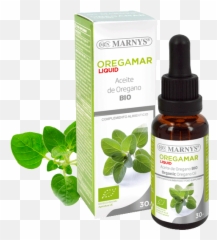 Arctostaphylos Uva - Ursi Png Images Free Png Library Oregano Oil 30 Ml Of Essential Oil,Oregano Png