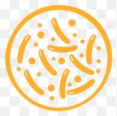 Dragon Balls Embroidered Polo Shirt - Records Weapons Of Mass Creation Png,Dragon Balls Png
