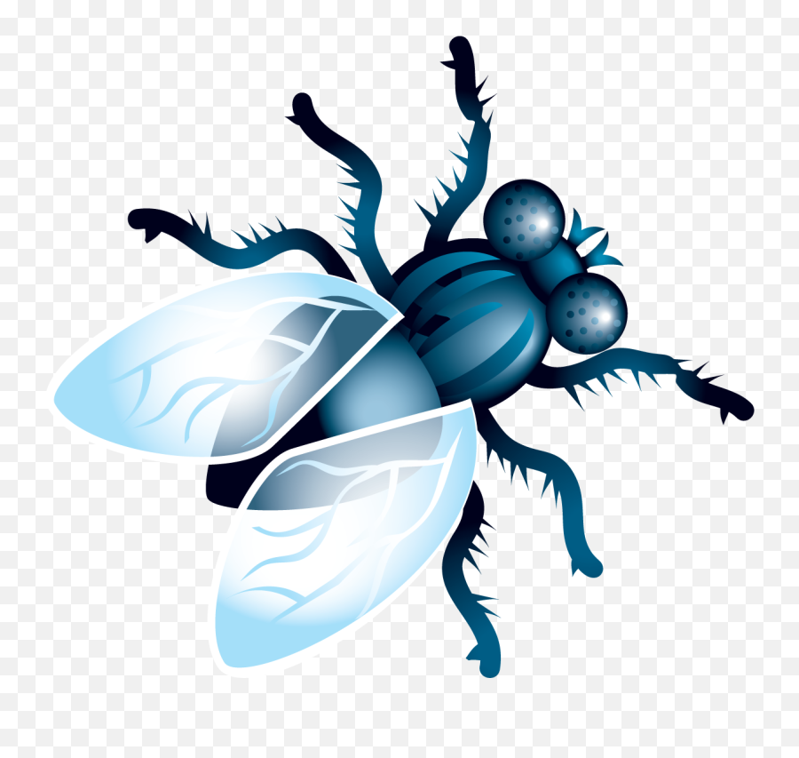 Fly Png Image For Free Download - Fly Clipart,Fly Transparent