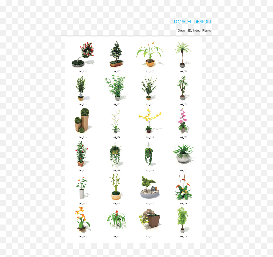 Indoor Plants - Indoor Plants With Types Png,Indoor Plant Png