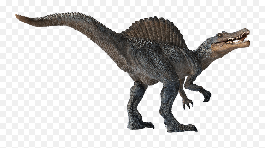 Spinosaurus Png Transparent Image - Spinosaurus Png,Spinosaurus Png