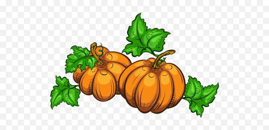 Pumpkins Png Clipart Picture - Transparent Pumpkin Clipart,Pumpkins Transparent