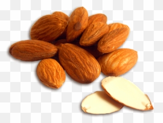 Download Png Images Pngs Almond - Sweet Almond Png,Almond Png