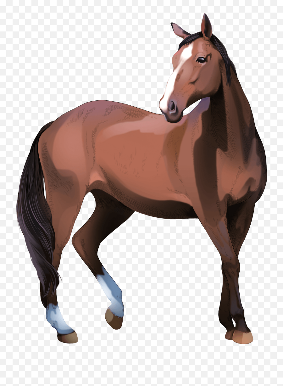 Heavy Warmblood Mare Clipart - Animal Figure Png,Heavy Png