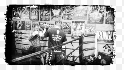 Tempe Boxing Gym Irongloves - Equipment png