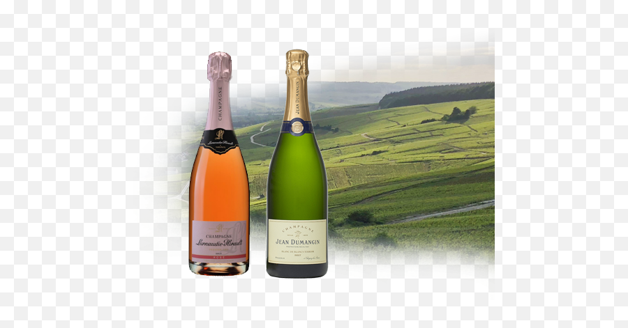 Bubbles Club - Blizzard Wines Celebrating Png,Champagne Bubbles Png