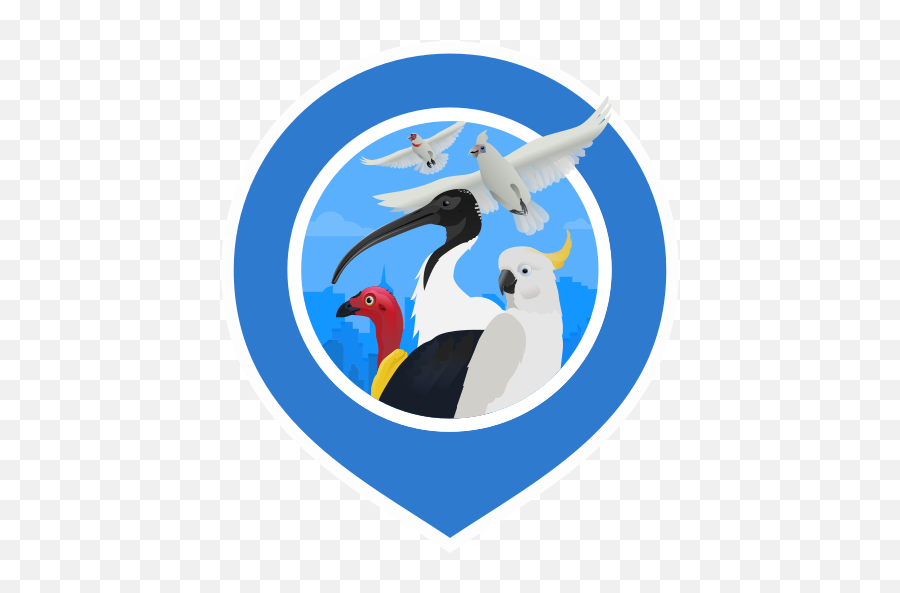 Big City Birds - Albatross Png,Big Bird Icon