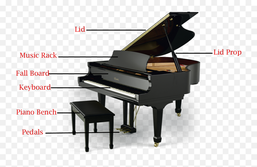 Download Grand Pianos Have A Few Major Piano Parts - Baby Parts Of A Grand Piano Png,Grand Piano Png