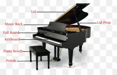 Download Grand Pianos Have A Few Major Piano Parts - Baby Parts Of A Grand Piano Png,Grand Piano Png