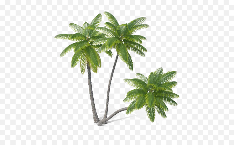 Home - Great Bay Distributors High Resolution Palm Trees Png Hd,Riff Raff Neon Icon Zip
