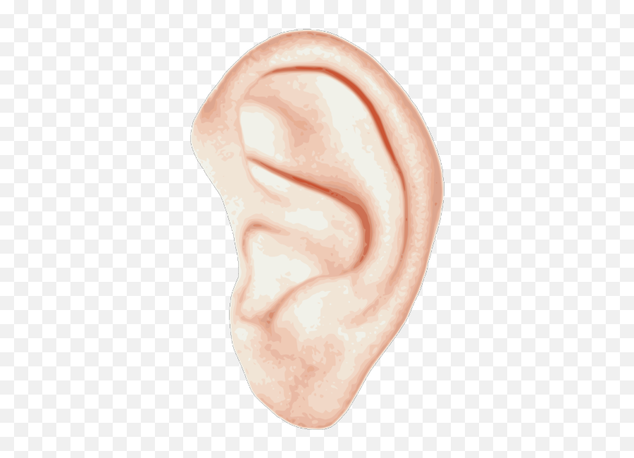 Human Ear Png Svg Clip Art For Web - Download Clip Art Png,Ear Icon