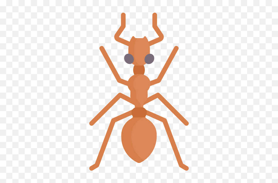 Ant - Free Animals Icons Png,Ant Icon