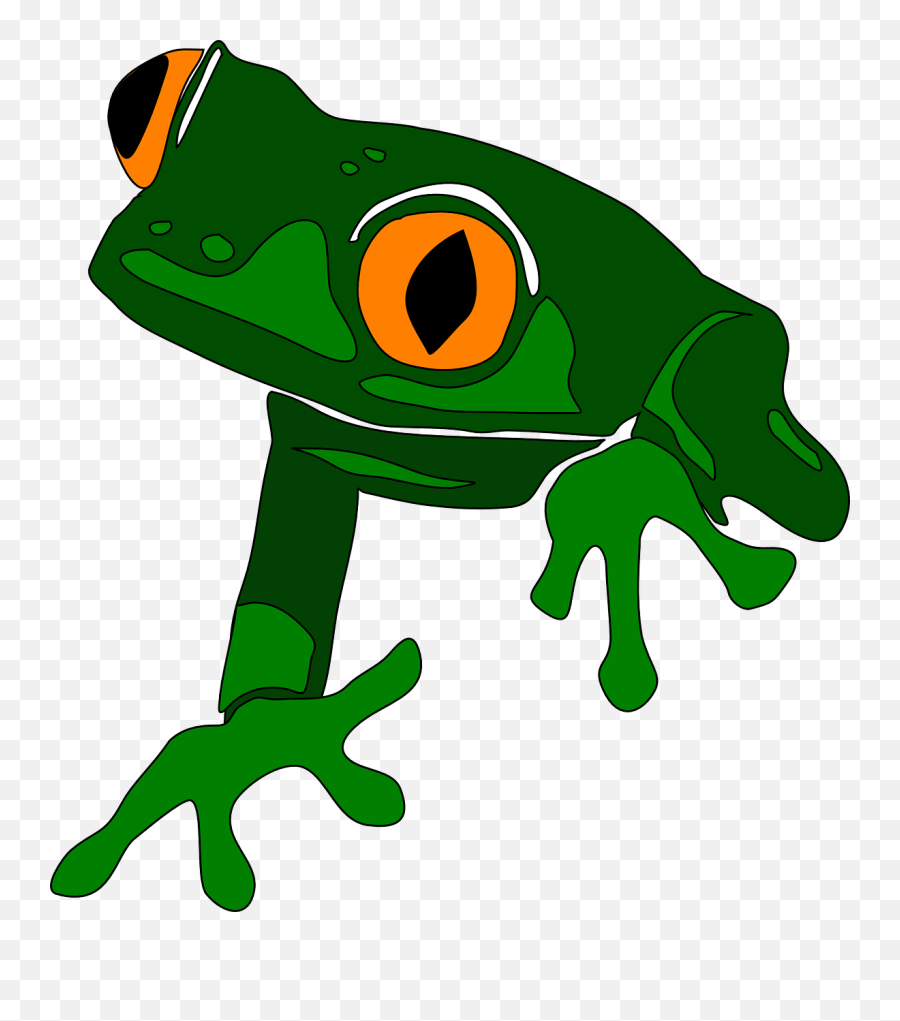 Frog Animal Cute - Free Vector Graphic On Pixabay Costa Rica Clip Art Png,Animal Clipart Png