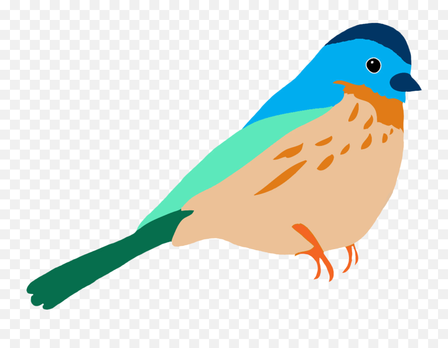 Colorful Drawings Of Birds - Birds Drawing For Colouring Png,Birds Png