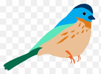 Colorful Drawings Of Birds - For Colouring png