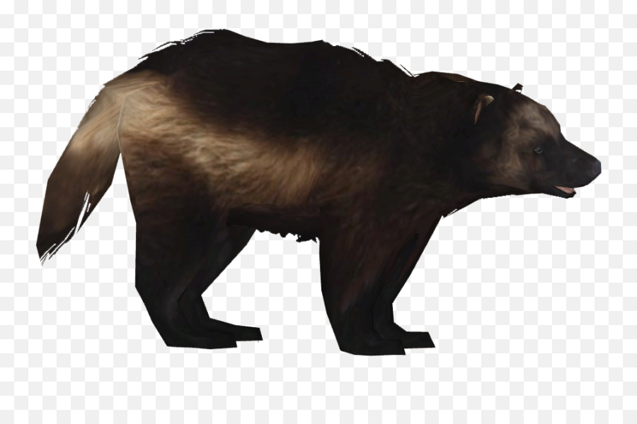 Clip Athamus Zt Download Library - American Black Bear Png,Grizzly Bear Png