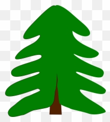 Cartoon Evergreen Tree Png Clipart - Pine