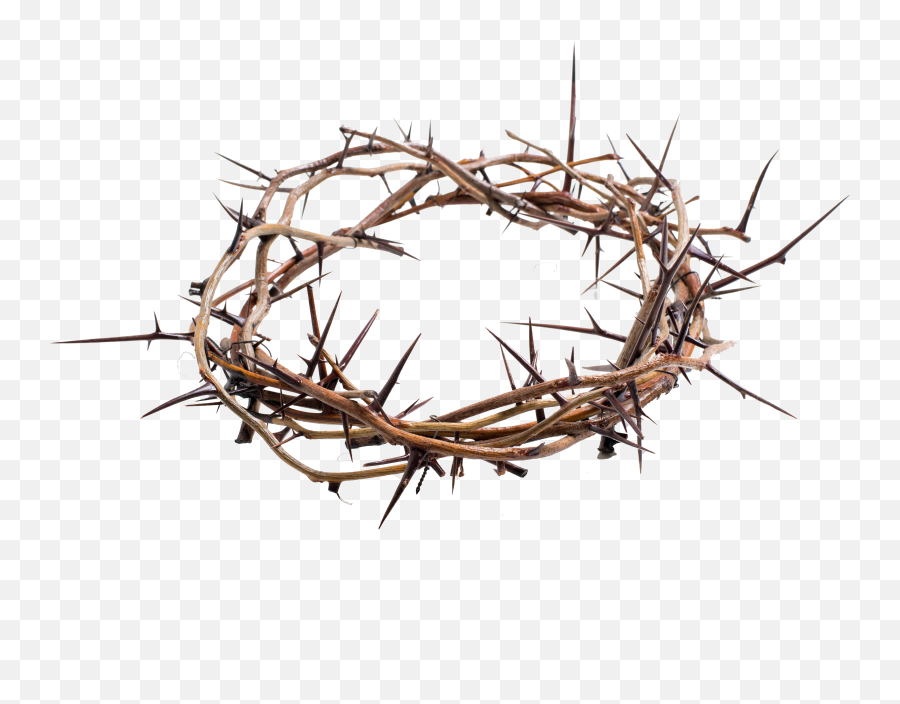 Crown Of Thorns Png Transparent