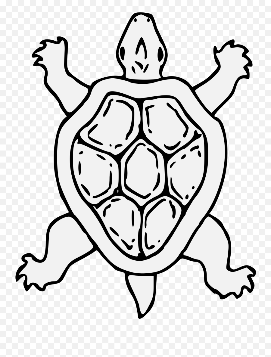 Tortoise - Traceable Heraldic Art Turtle Heraldry Png,Tortoise Png