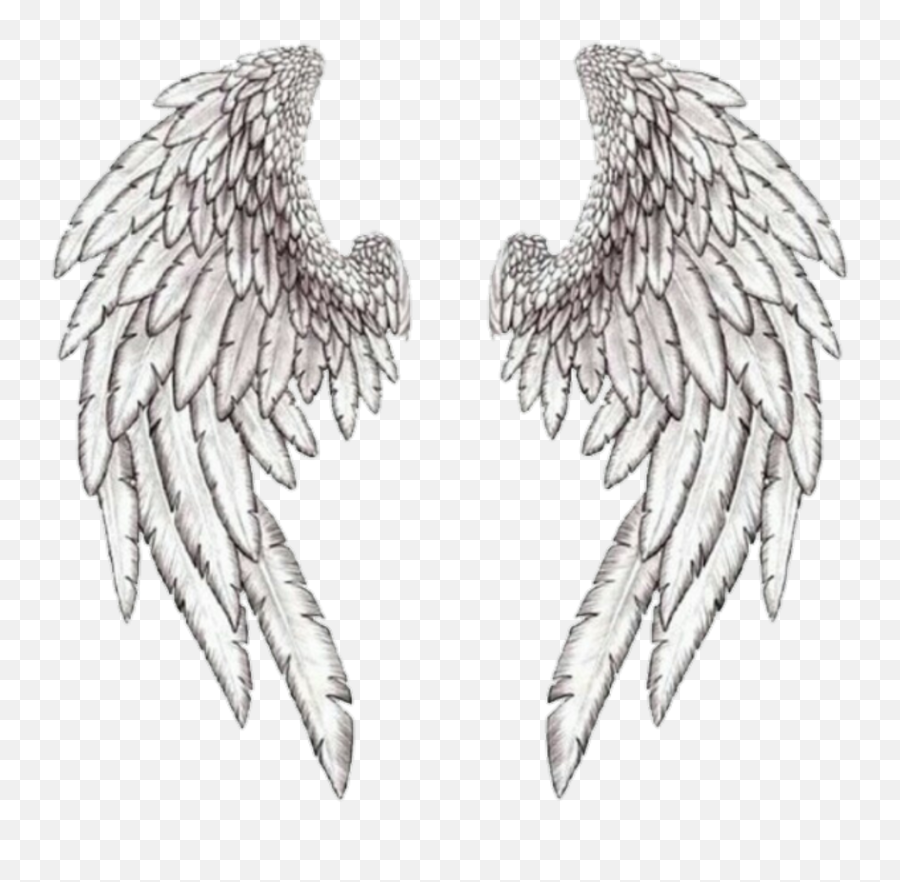Wings Tattoo Design White Background PNG File Download  Etsy