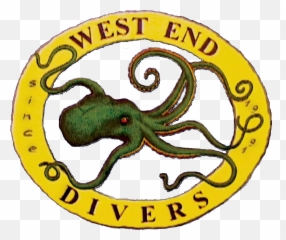 Best Scuba Diving In Roatan West End Divers Honduras - Cartoon Png,Scuba Diver Png