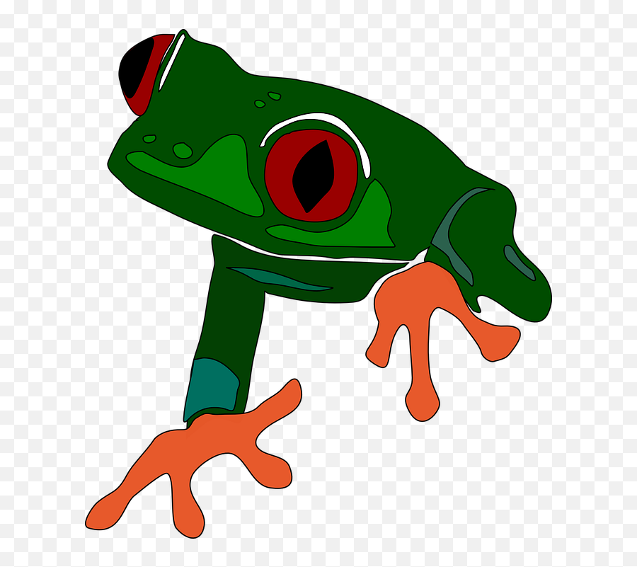 Frog Tree Tropical Red - Free Vector Graphic On Pixabay Tree Frog Clipart Transparent Png,Red Eyes Png