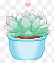 Flower Art Transparent Background - Succulents Pixel png