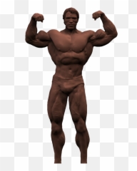 Arnold Schwarzenegger Bodybuilding Png - Transparent Background